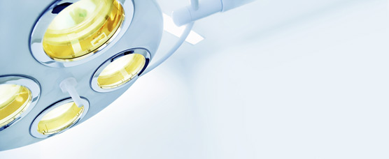 � janvier - stock.adobe.com