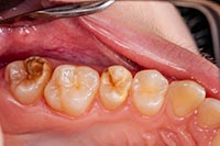 � Dirk - stock.adobe.com